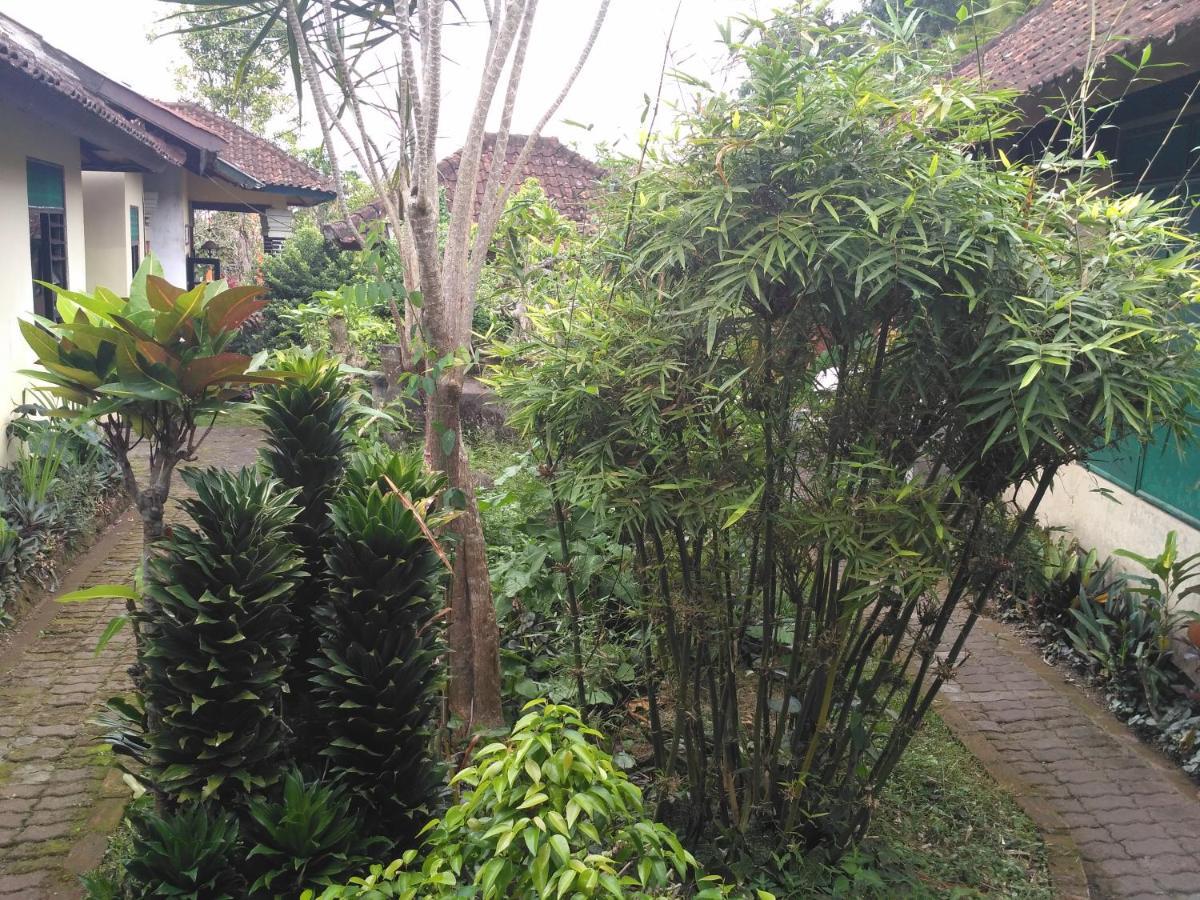 Dhangin Taman Karangasem Kültér fotó